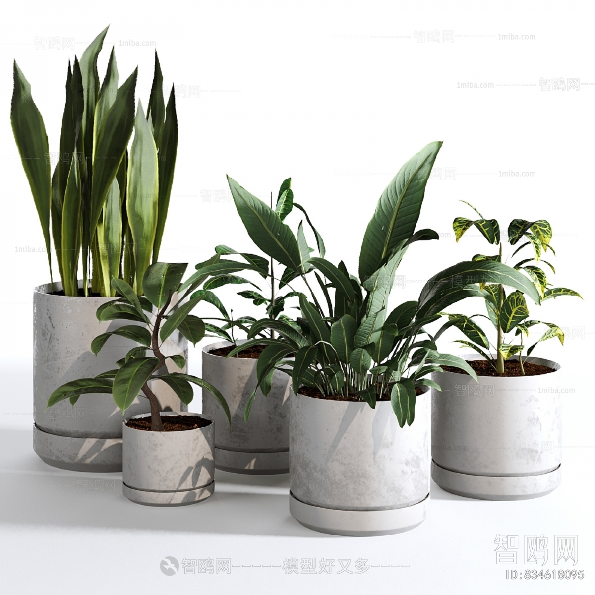 Modern Ground Green Plant Potted Plants