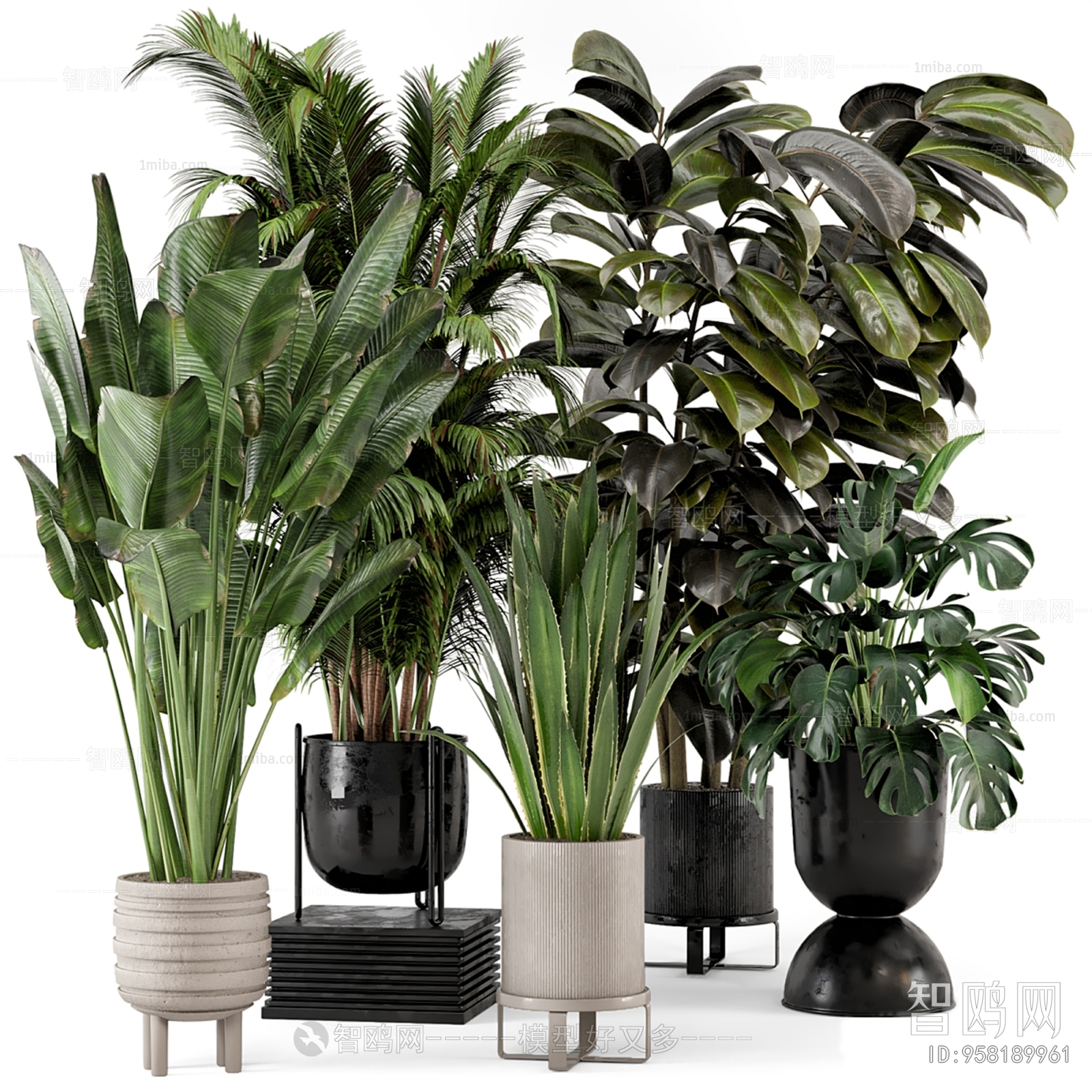 Modern Ground Green Plant Potted Plants