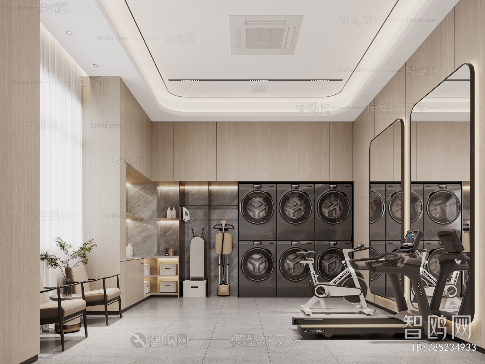 Modern Home Fitness Room