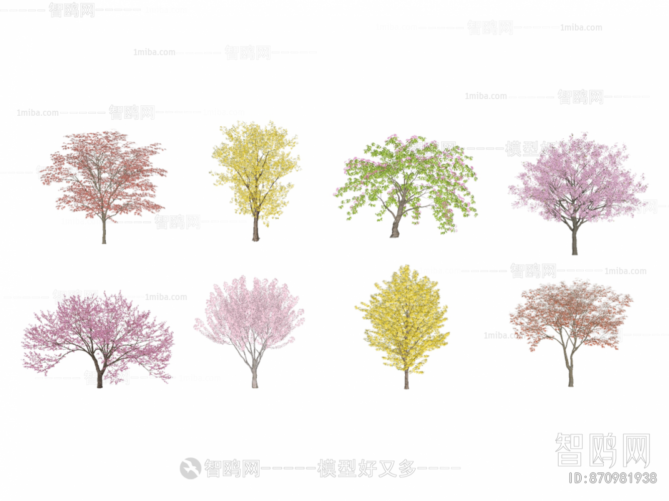 现代樱花树 枫叶