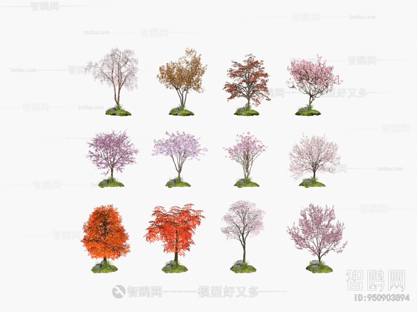 现代樱花 枫叶景观树