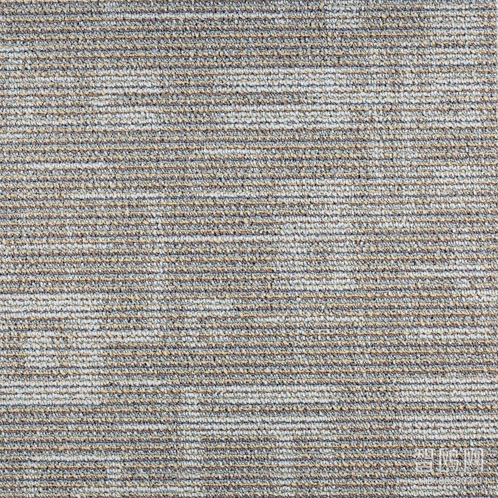 Modern Rug