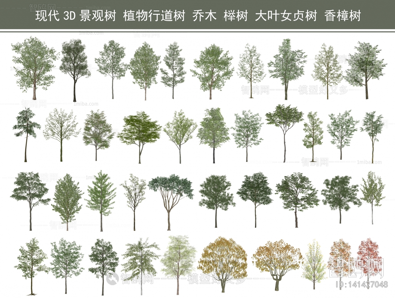 现代景观树 植物行道树