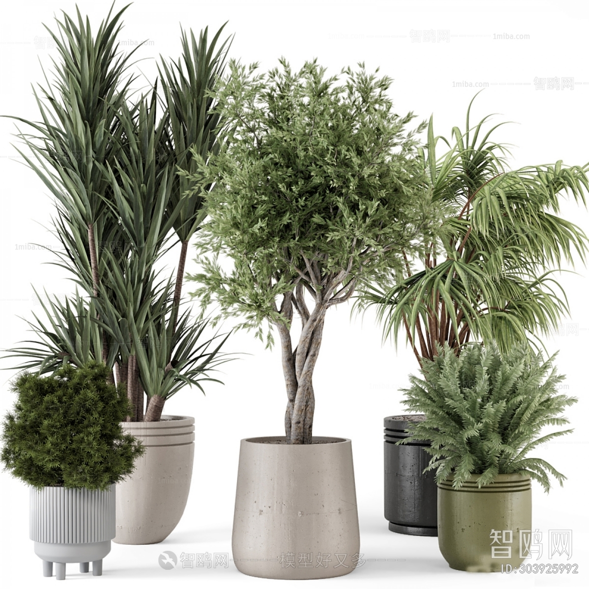 Modern Ground Green Plant Potted Plants