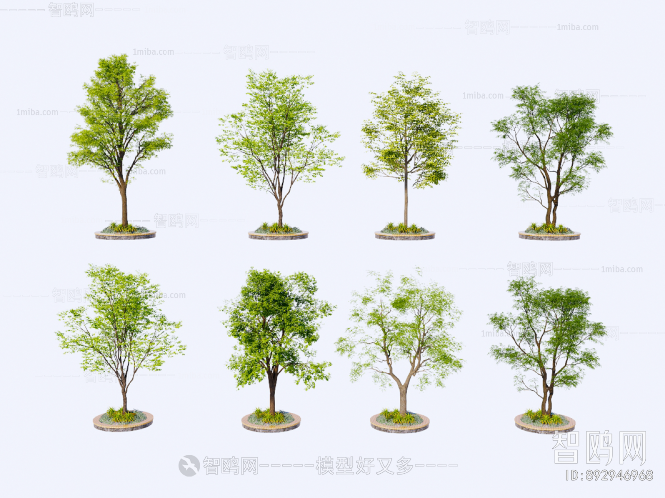 现代景观树 行道树