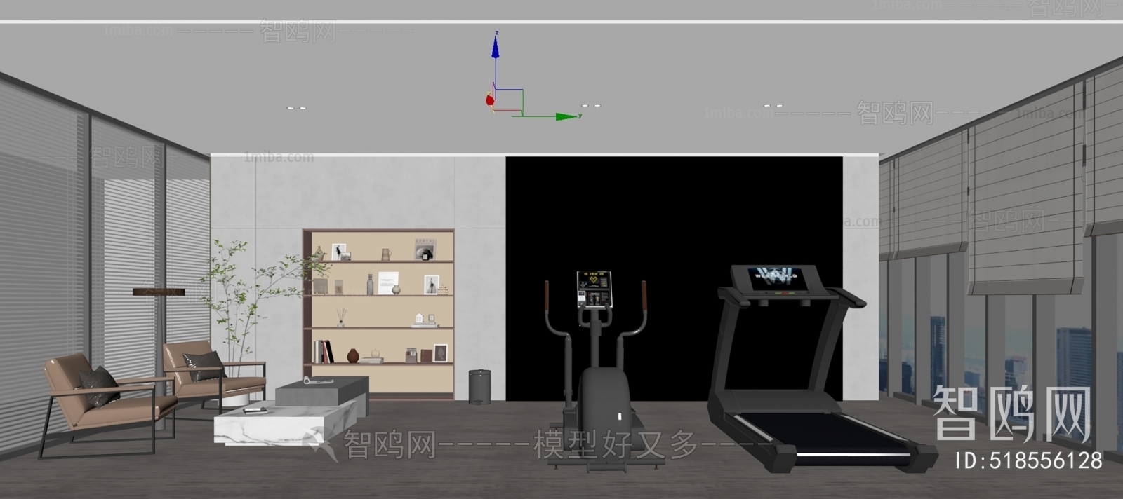 Modern Home Fitness Room