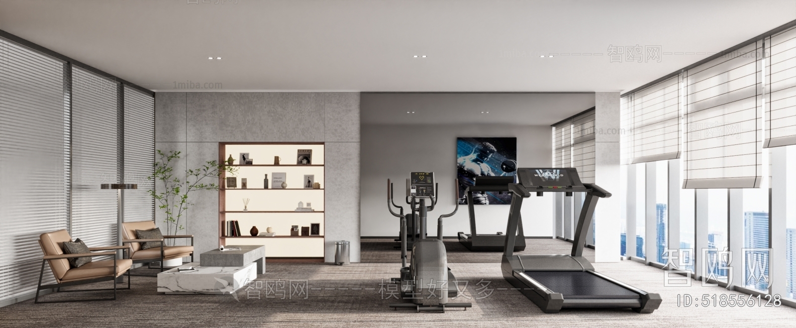 Modern Home Fitness Room