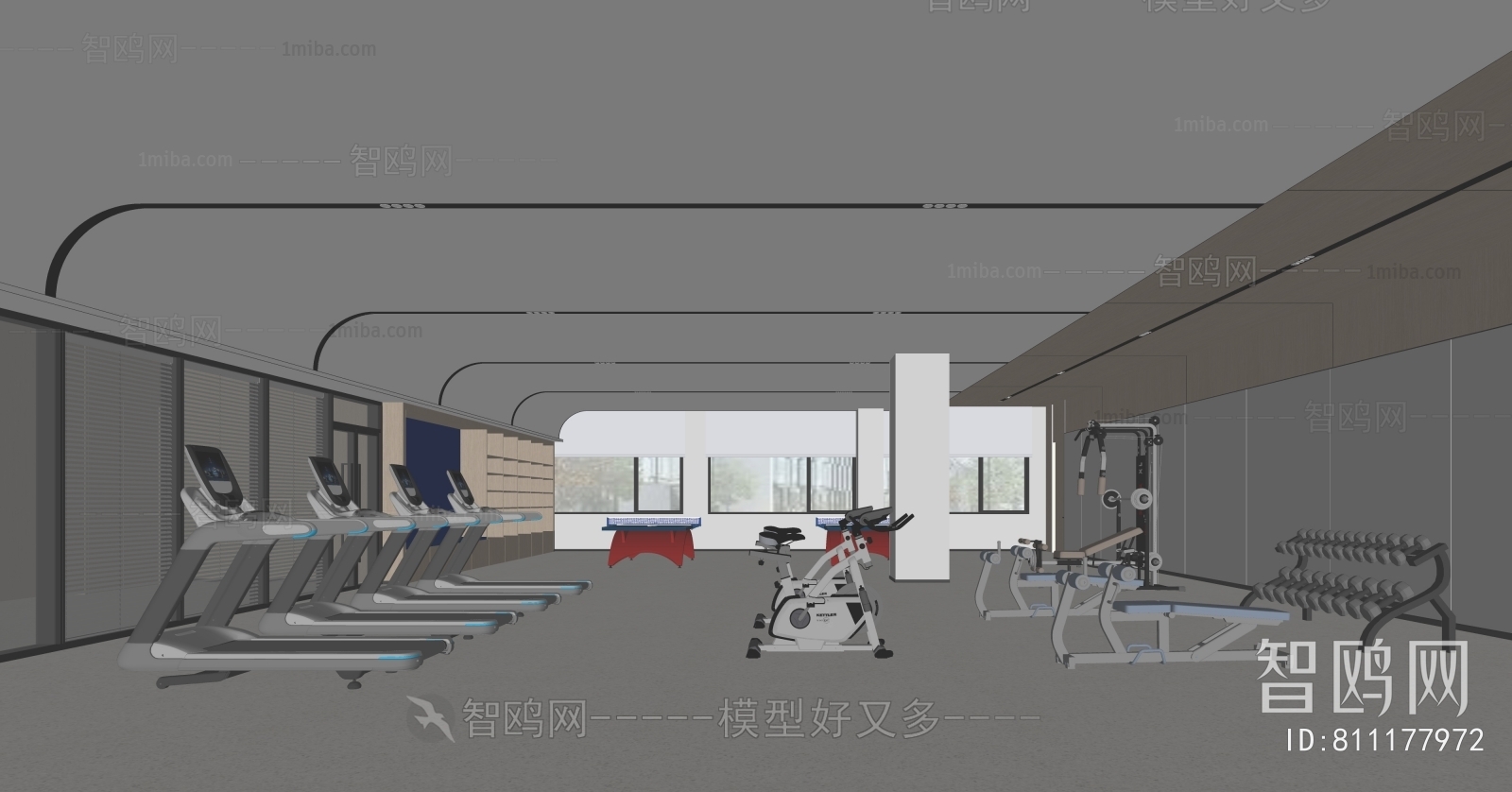 Modern Gym