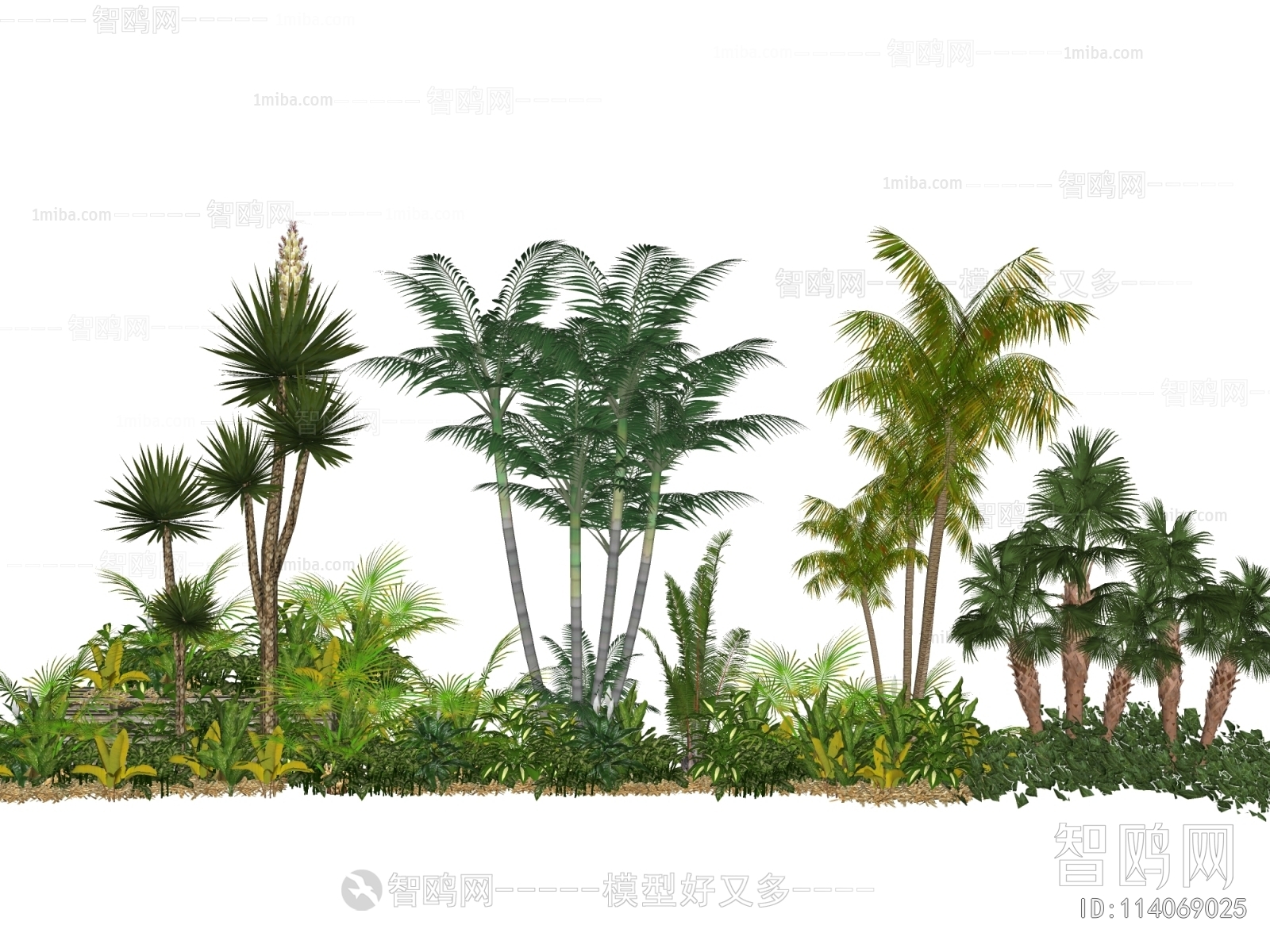 现代热带植物灌木丛组合