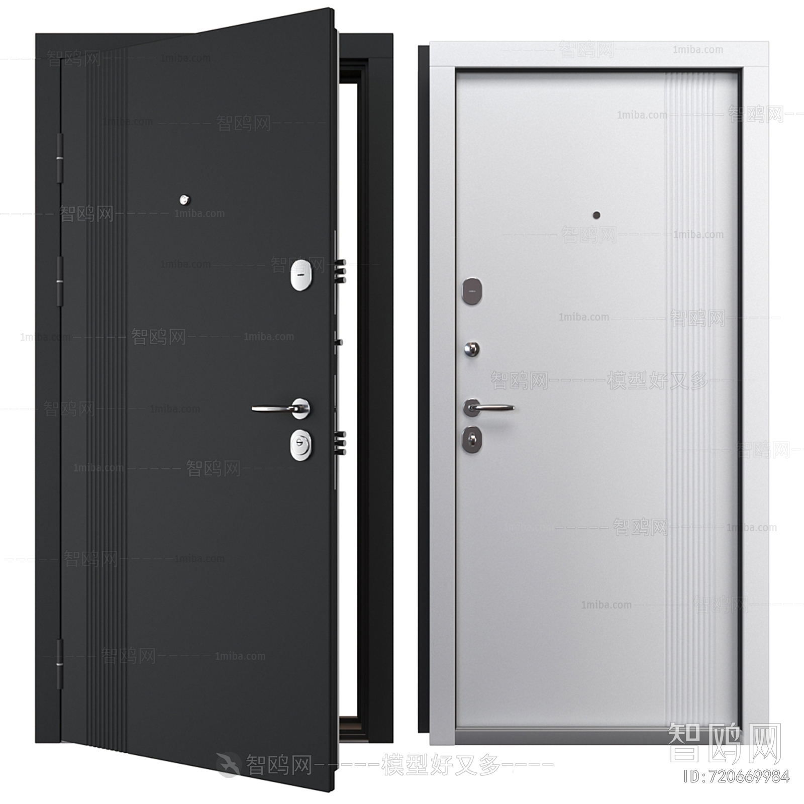 Modern Entrance Door