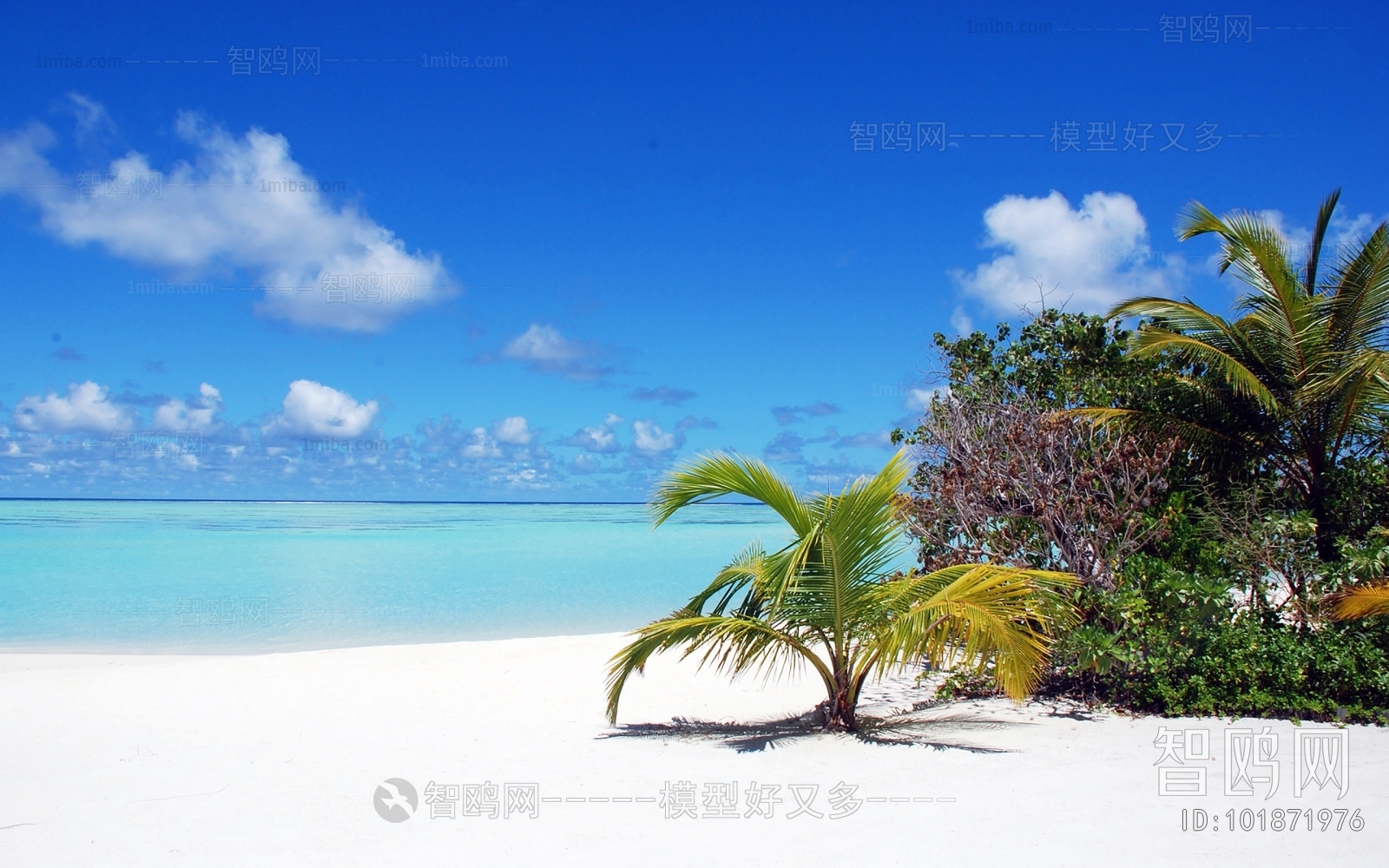 海边风景