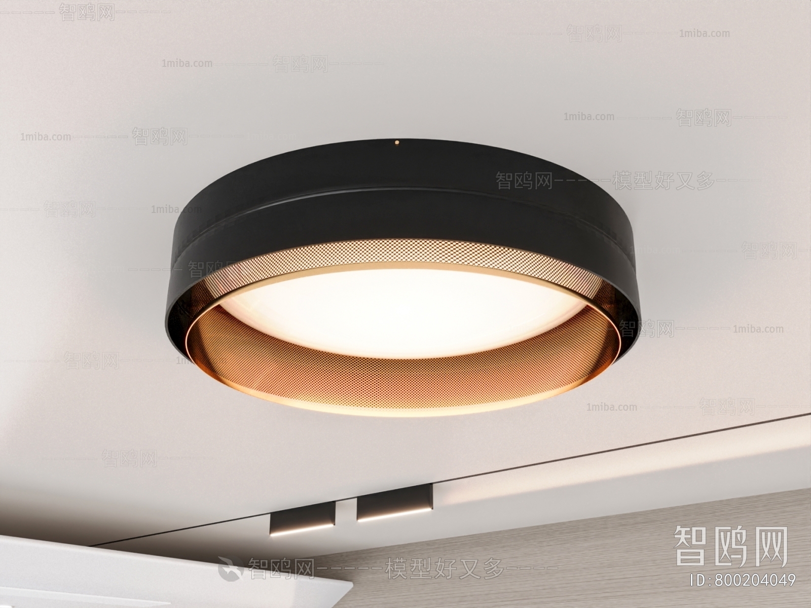 Modern Ceiling Ceiling Lamp