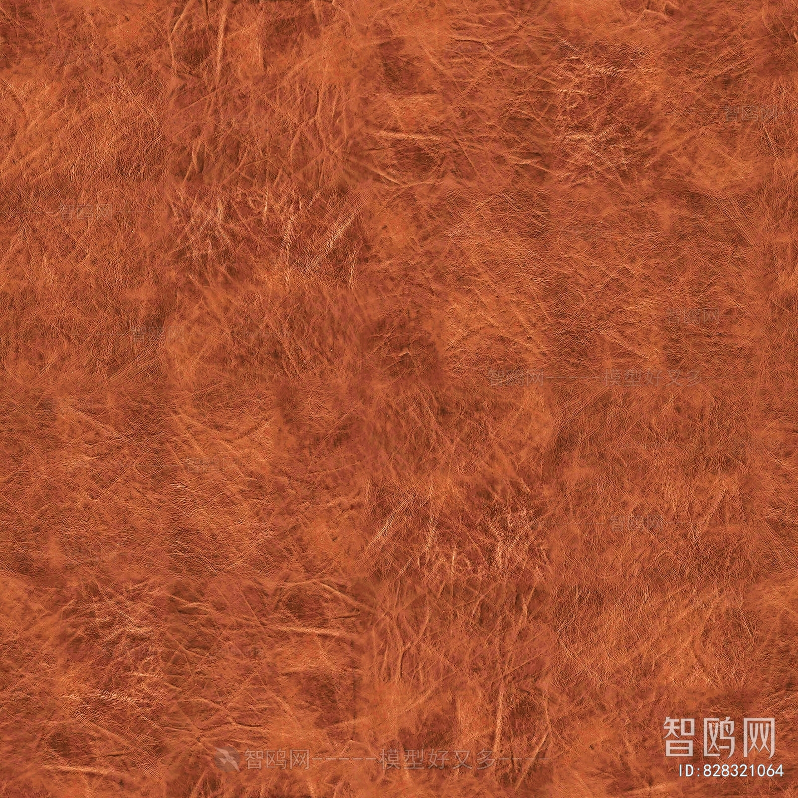 Rough Grain Leather