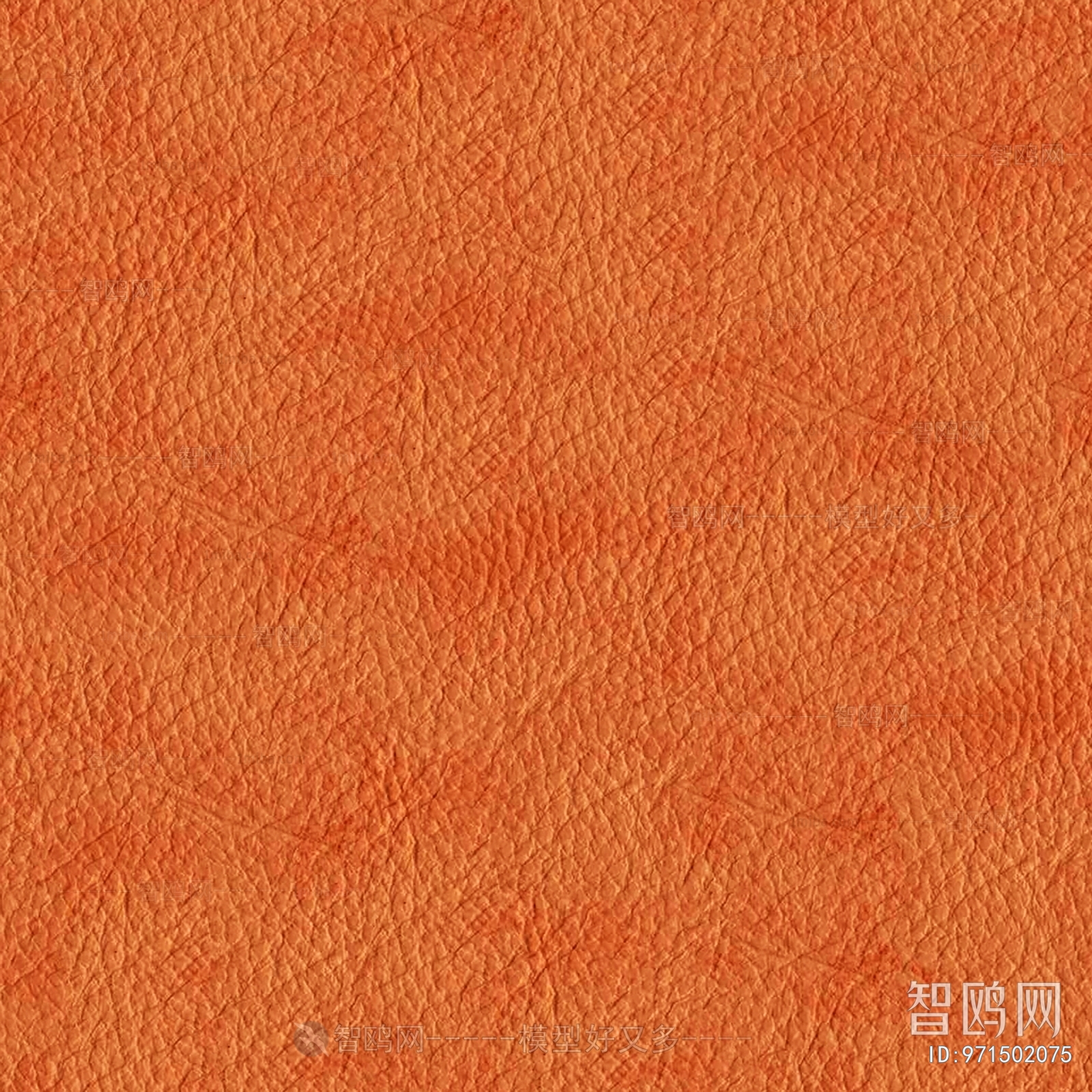 Rough Grain Leather