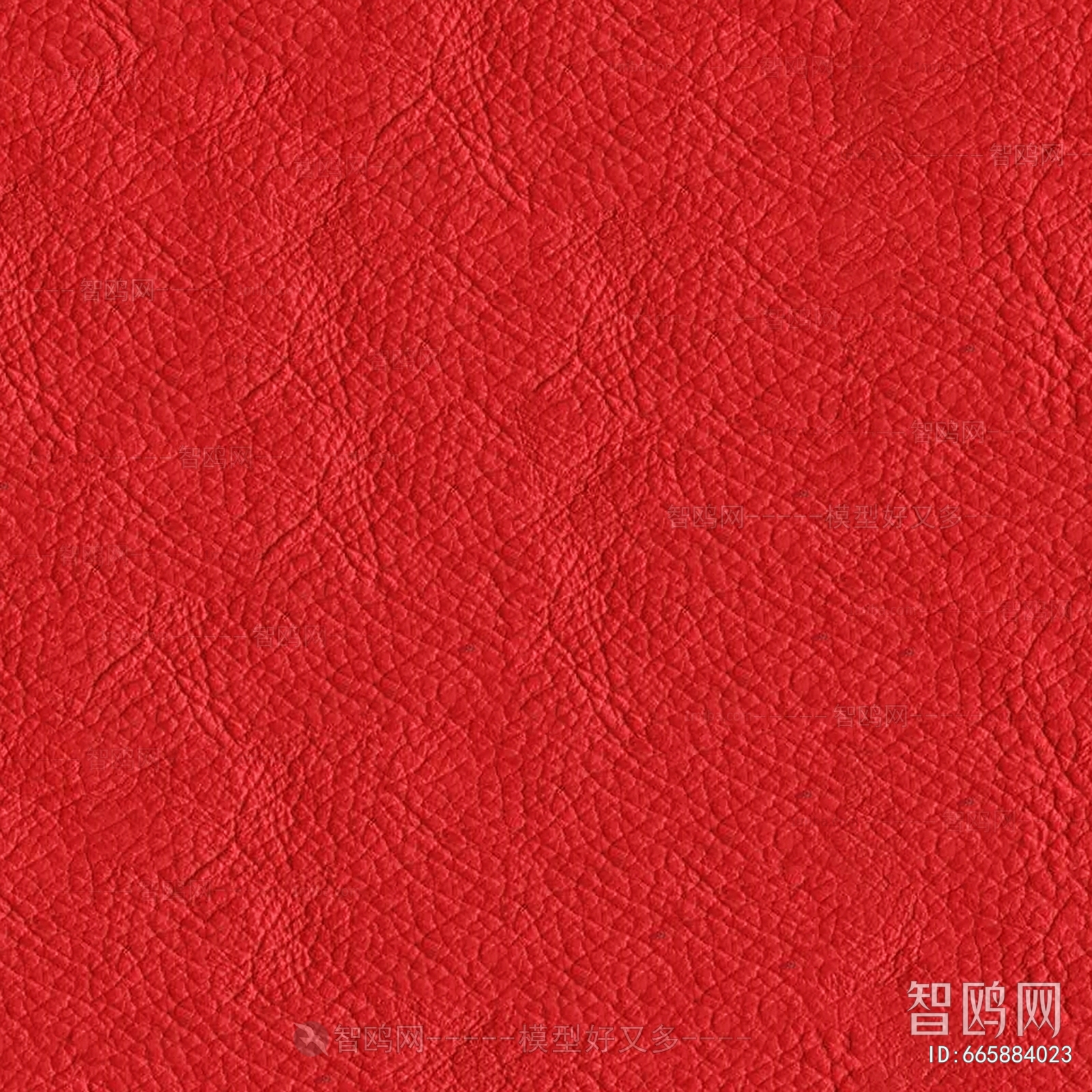 Rough Grain Leather