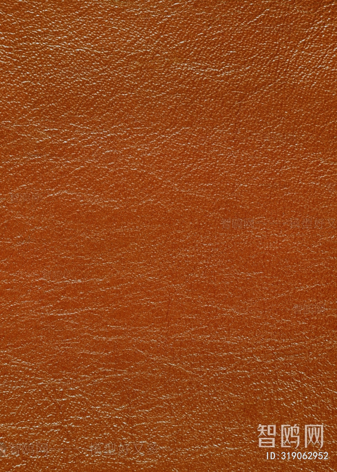 Rough Grain Leather