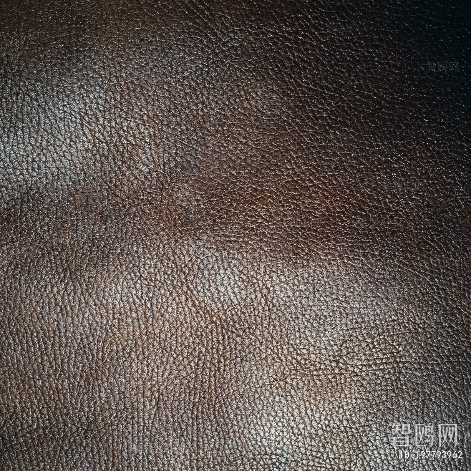 Rough Grain Leather