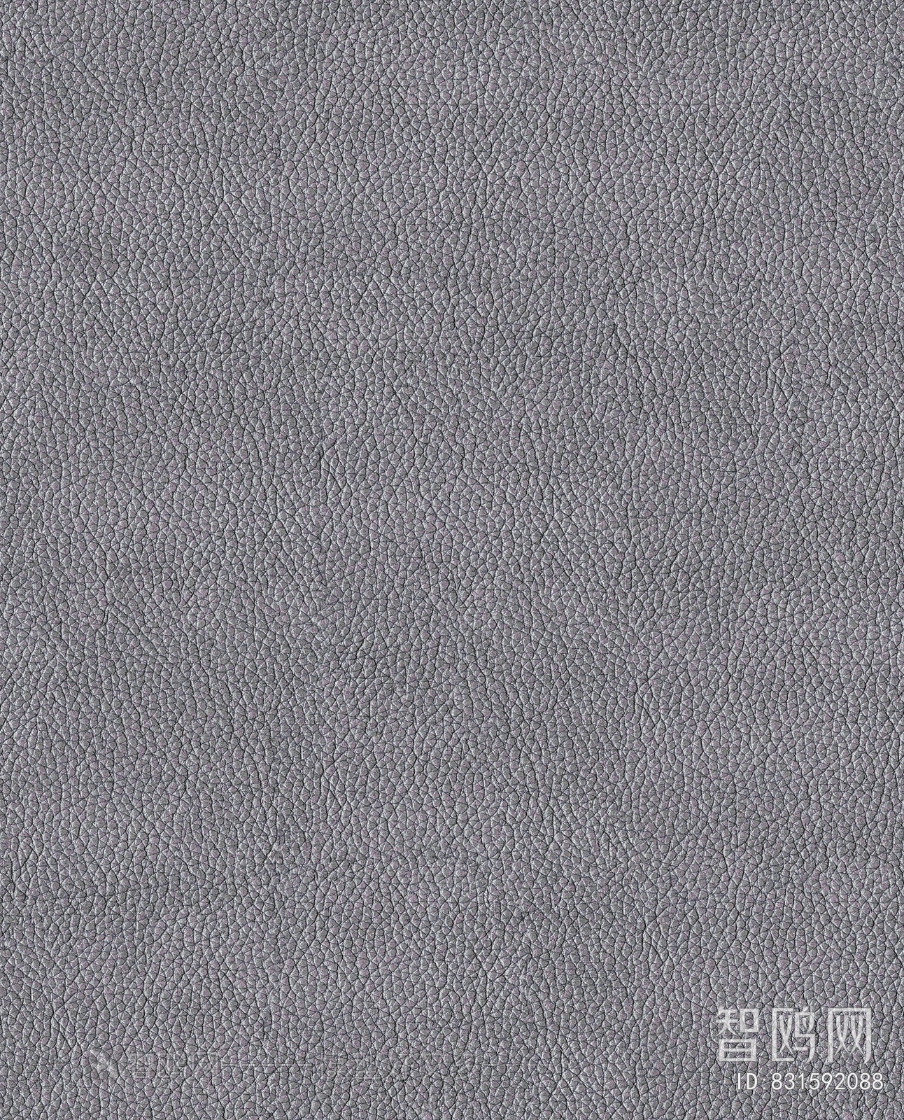 Rough Grain Leather