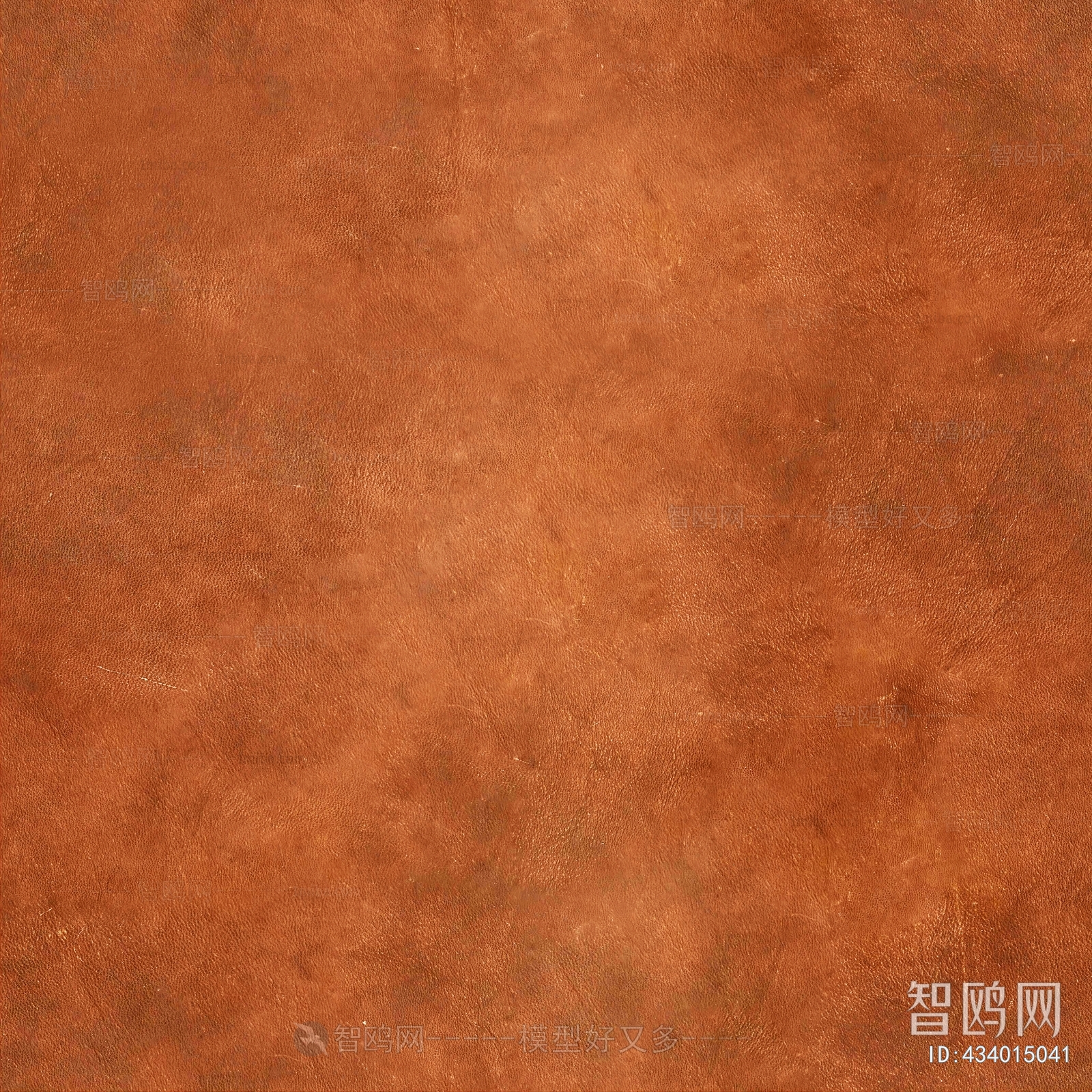 Rough Grain Leather