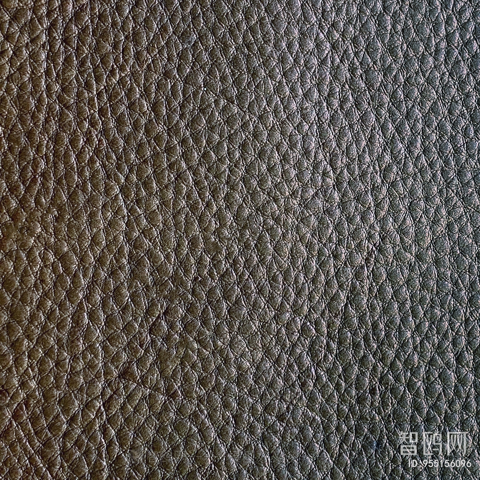 Rough Grain Leather