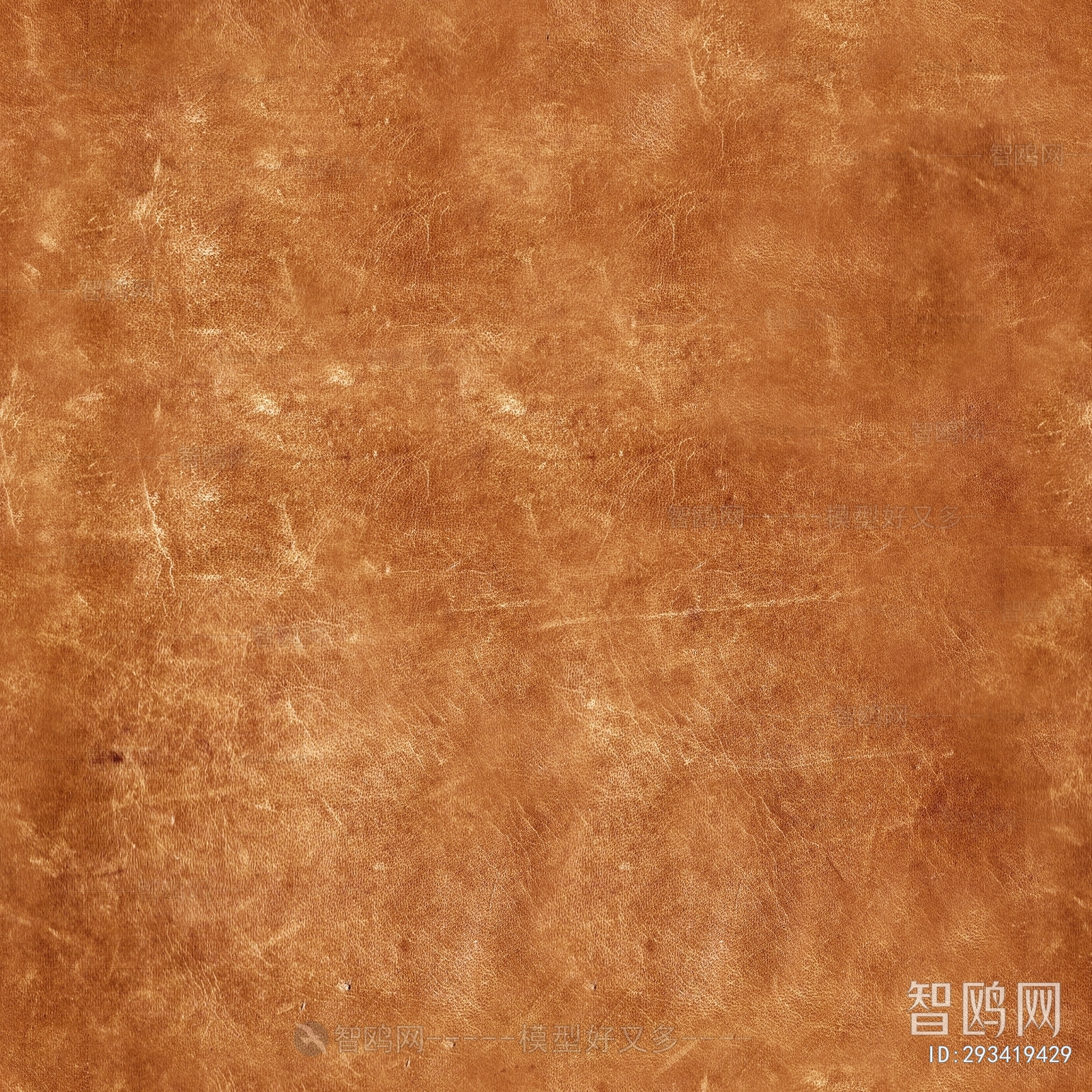 Rough Grain Leather