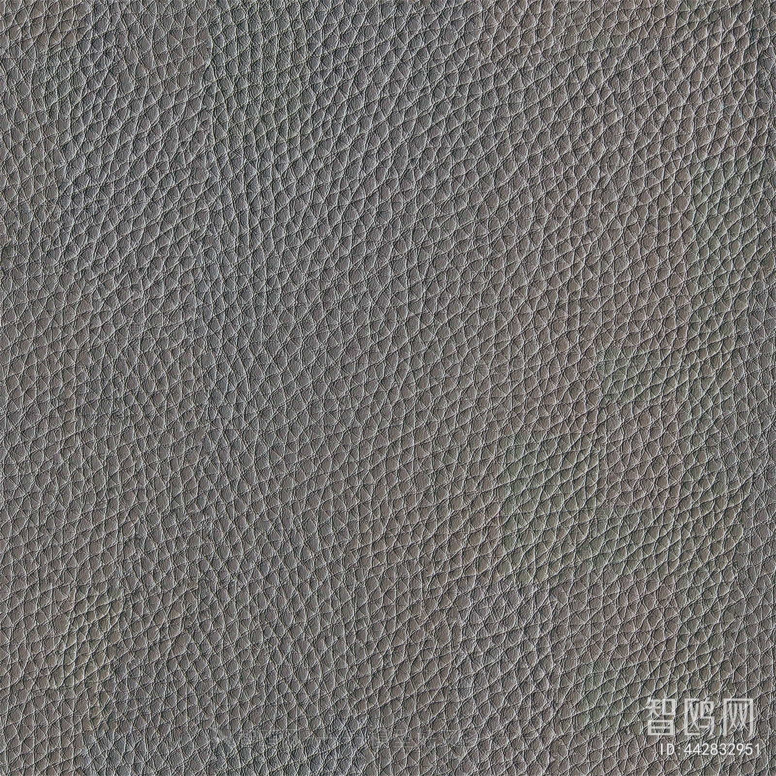 Rough Grain Leather