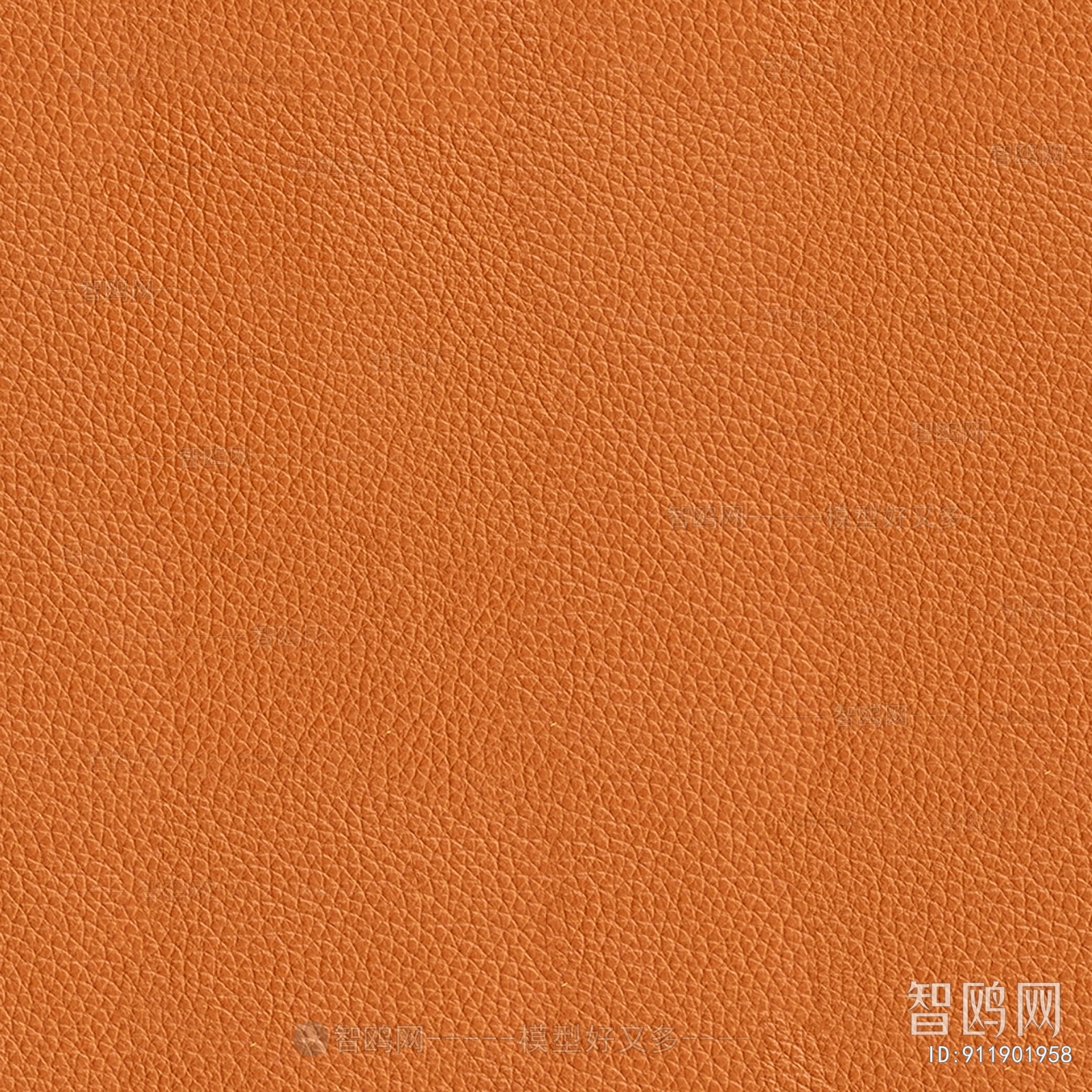 Rough Grain Leather