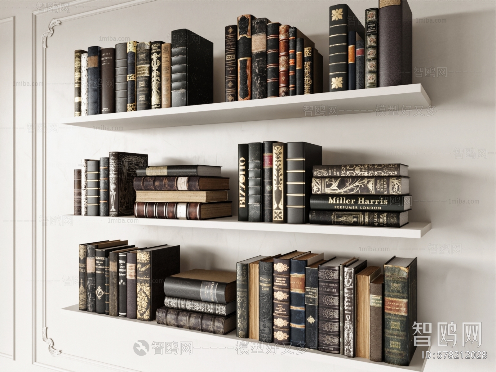 Modern Bookshelf