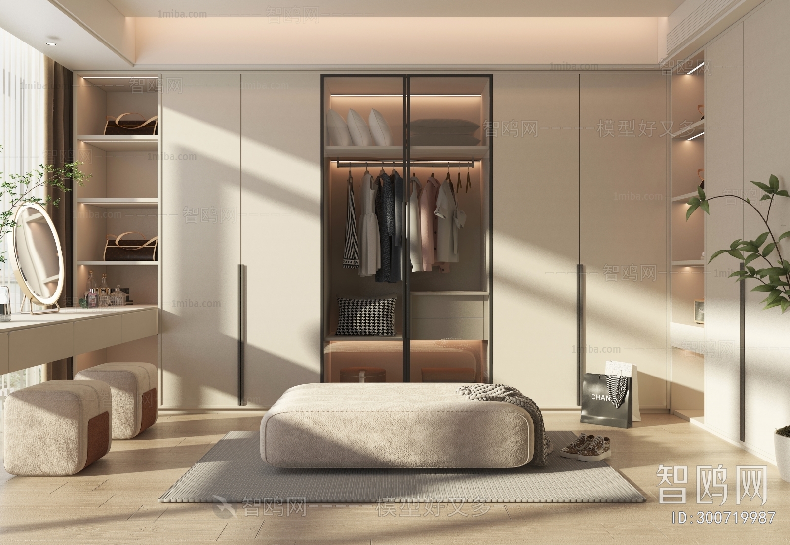 Modern Clothes Storage Area