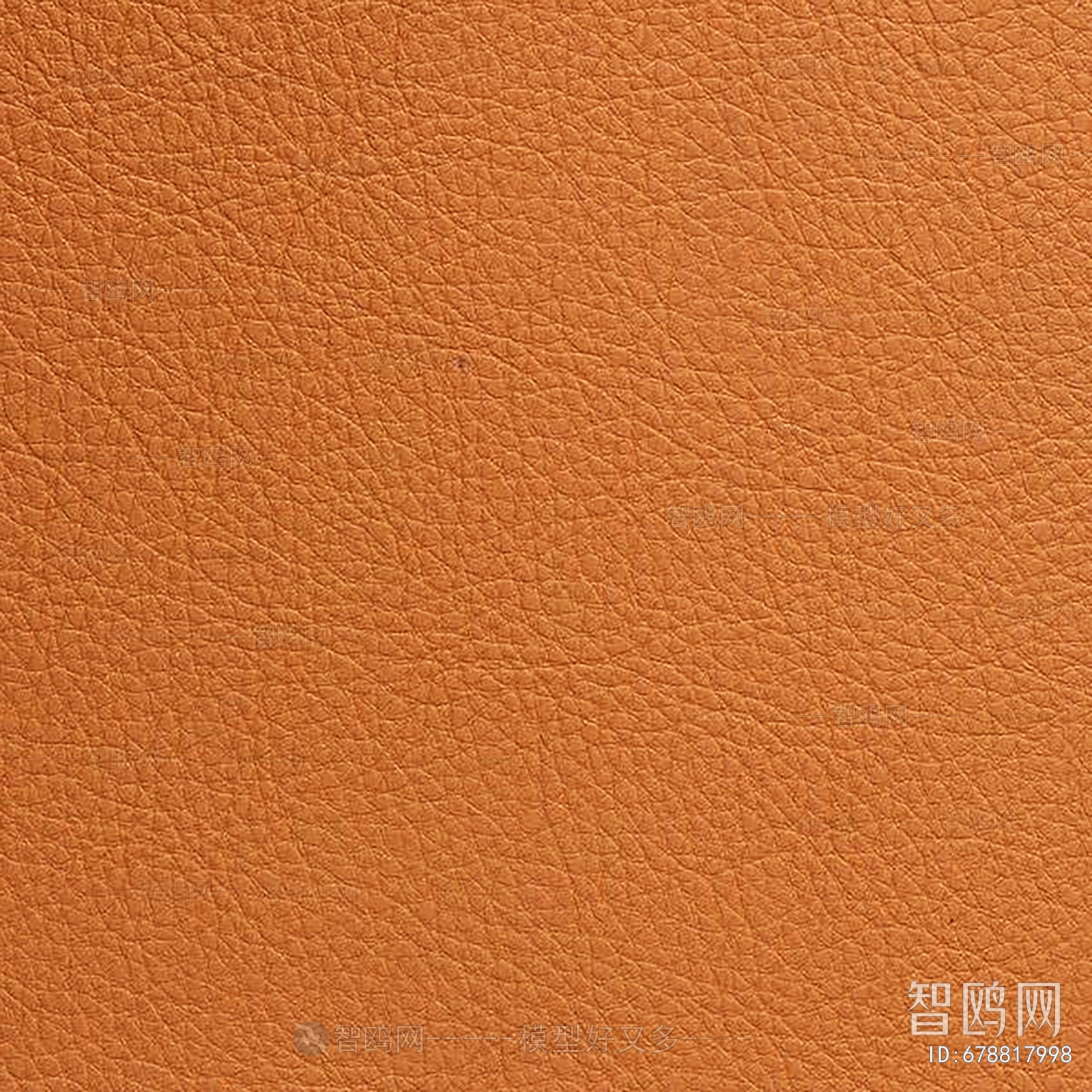 Rough Grain Leather