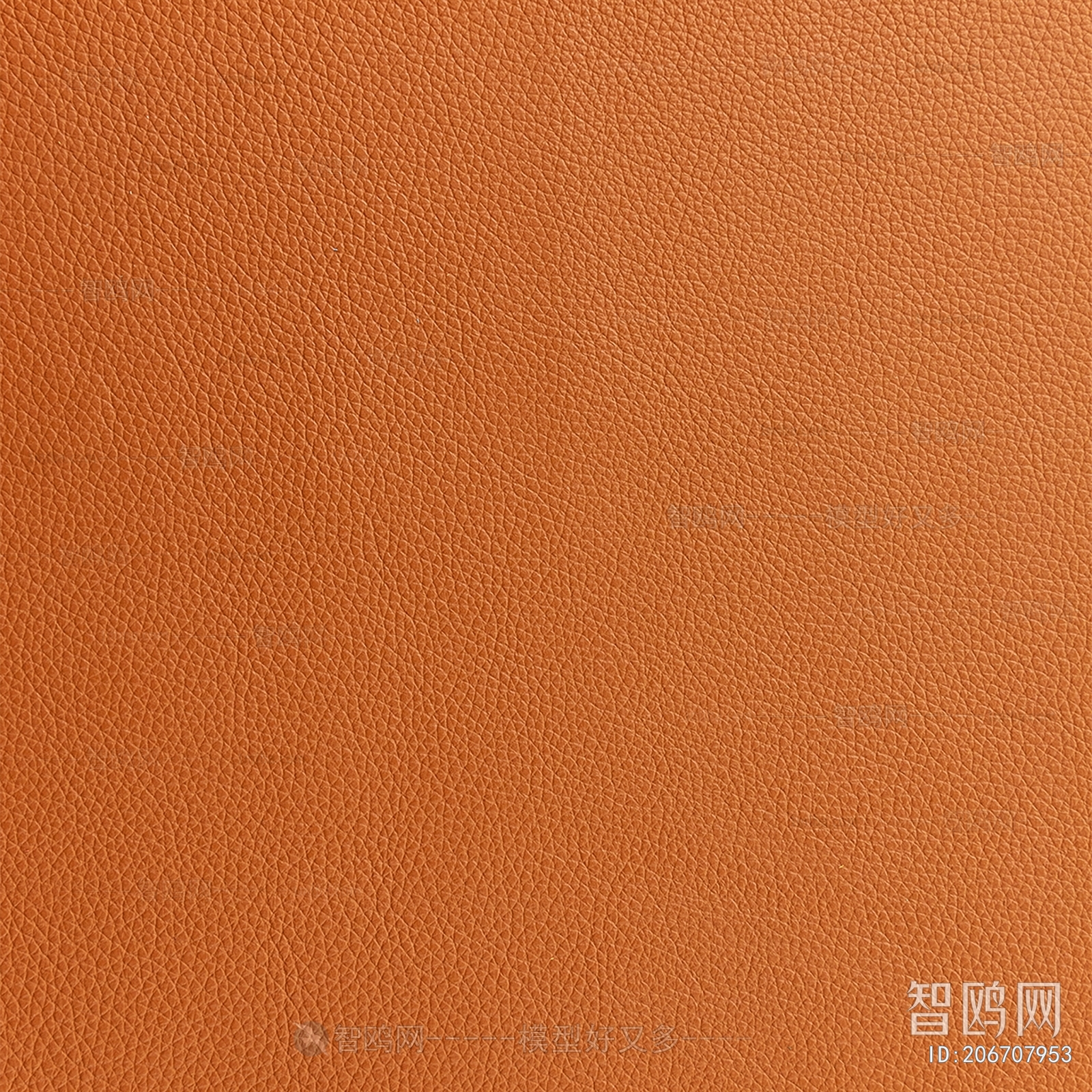 Rough Grain Leather