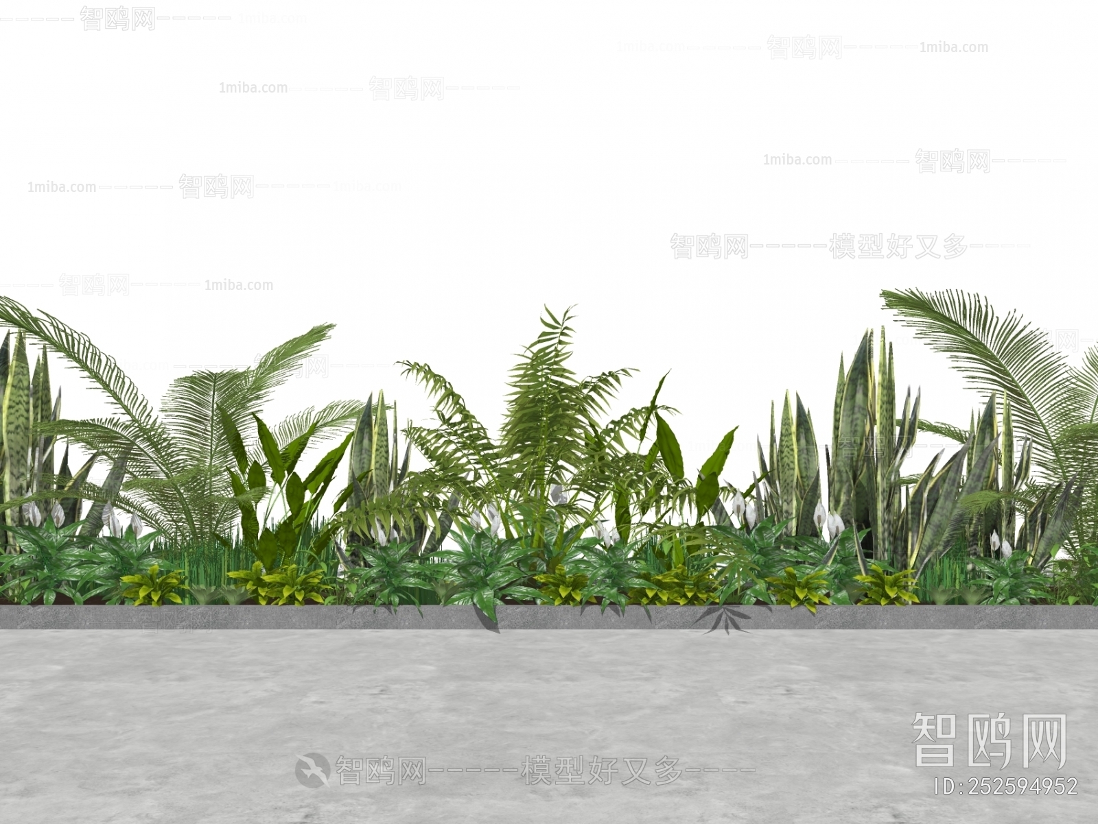 Modern Plant Landscaping