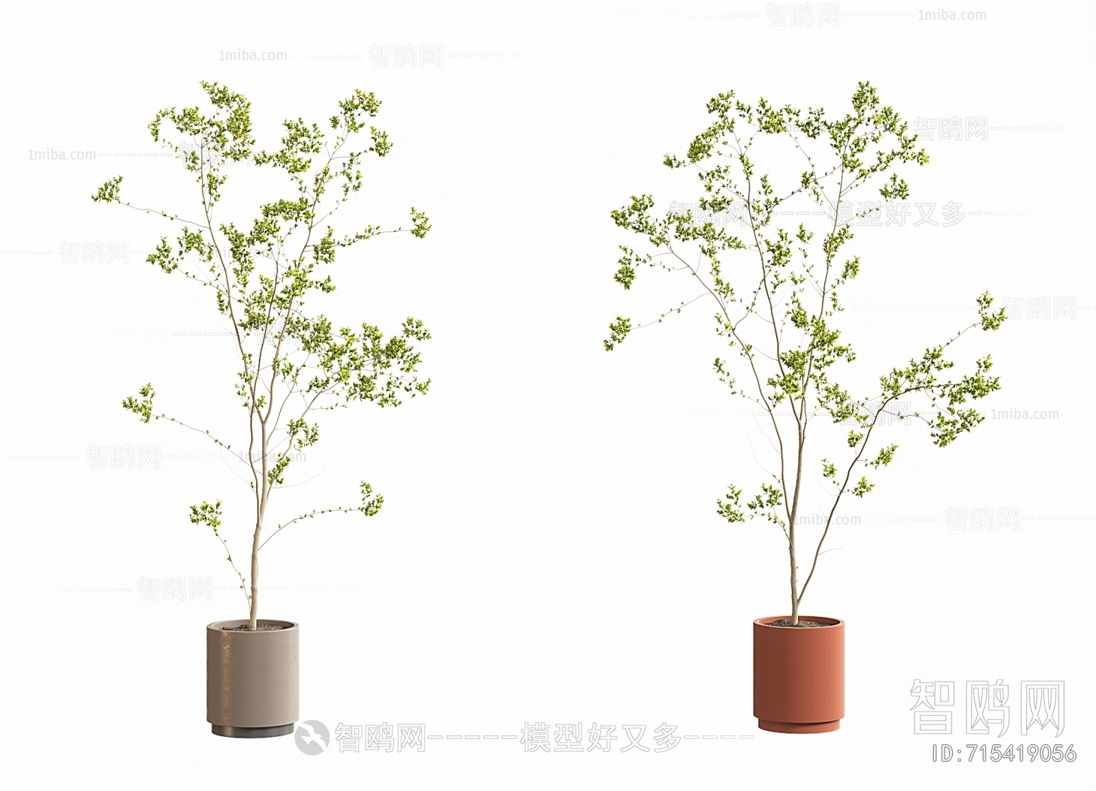 现代绿植盆栽