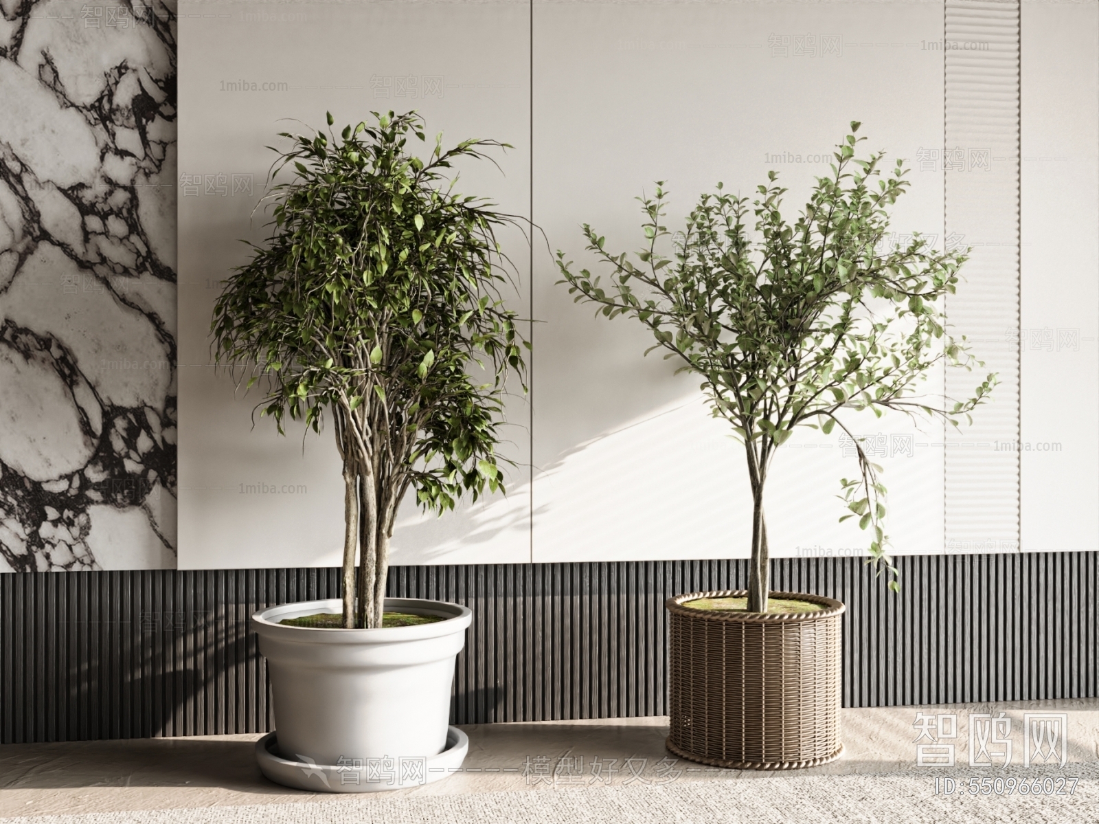 Modern Ground Green Plant Potted Plants