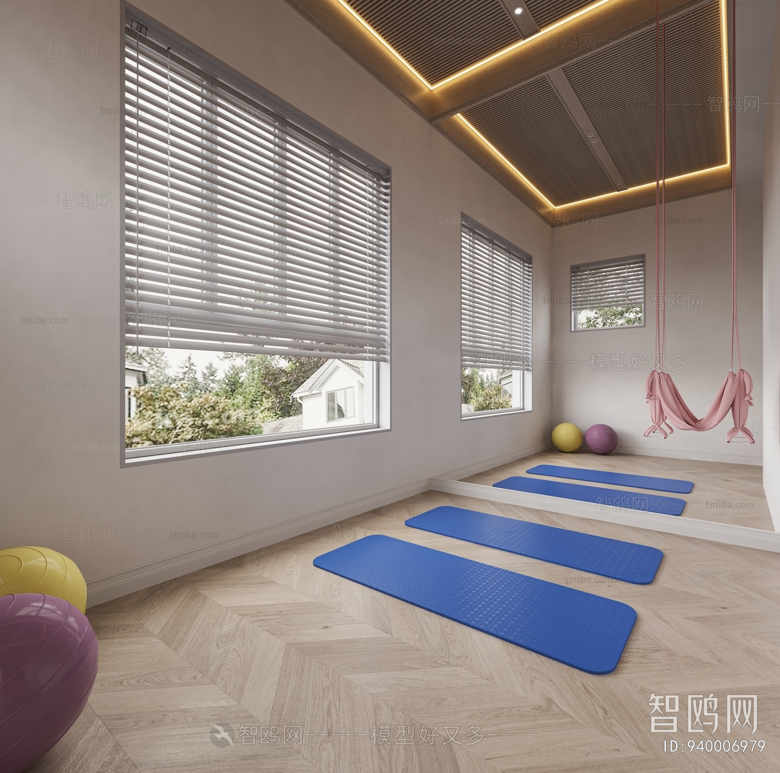 Modern Home Fitness Room