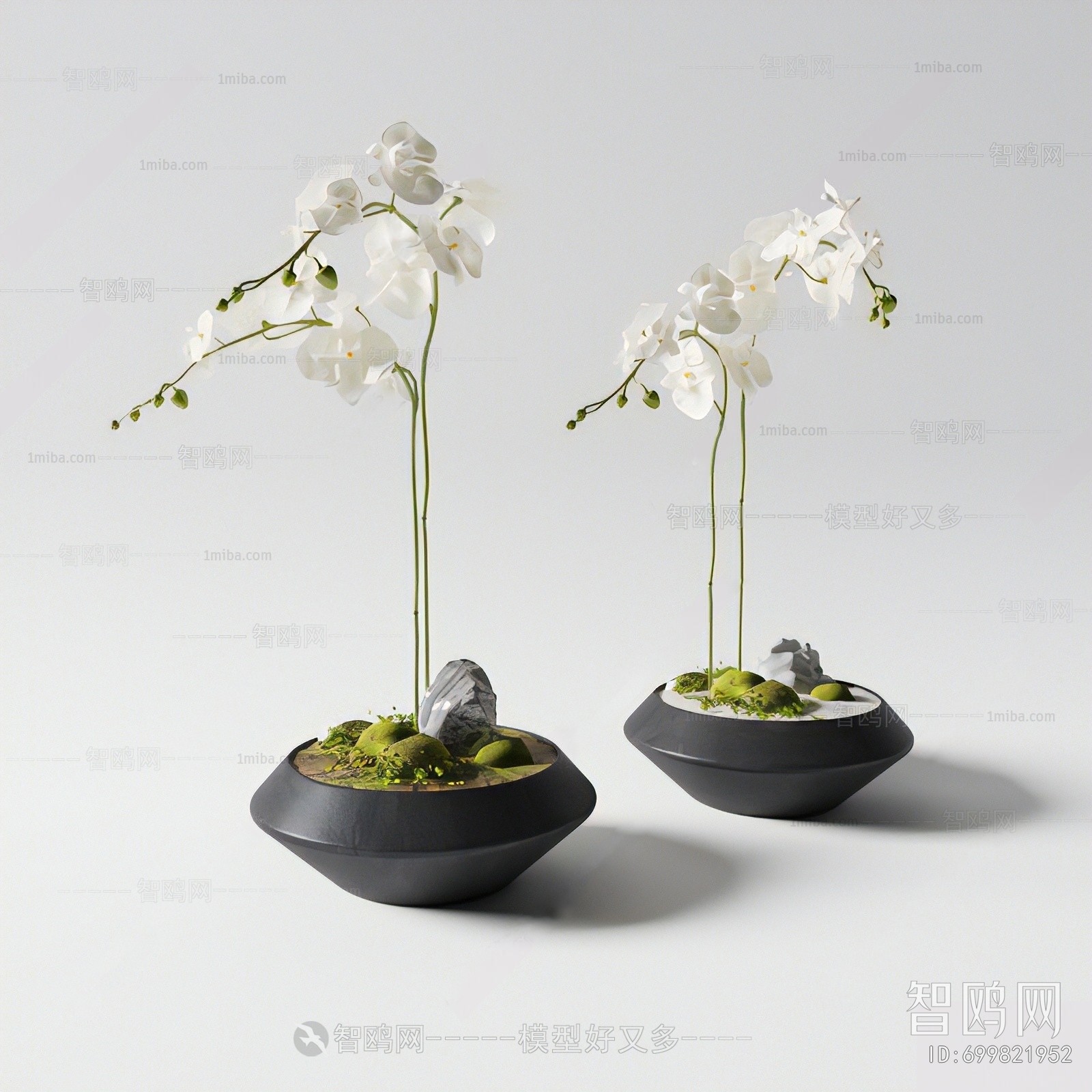 现代蝴蝶兰盆栽盆景3D模型下载