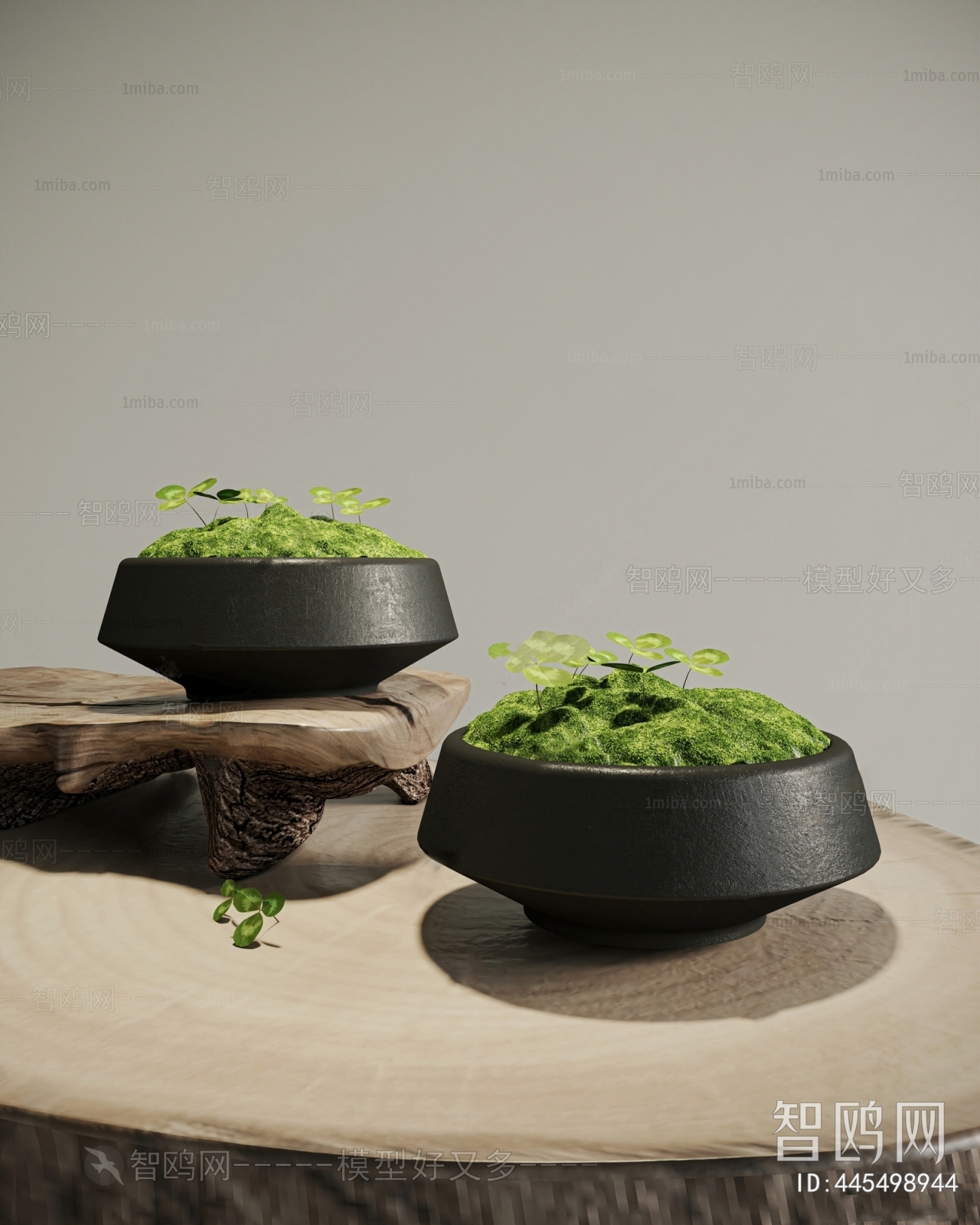 Modern Bonsai