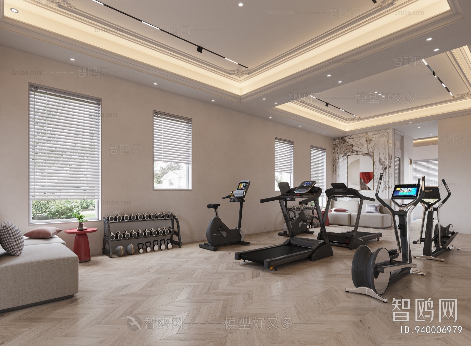 Modern Home Fitness Room