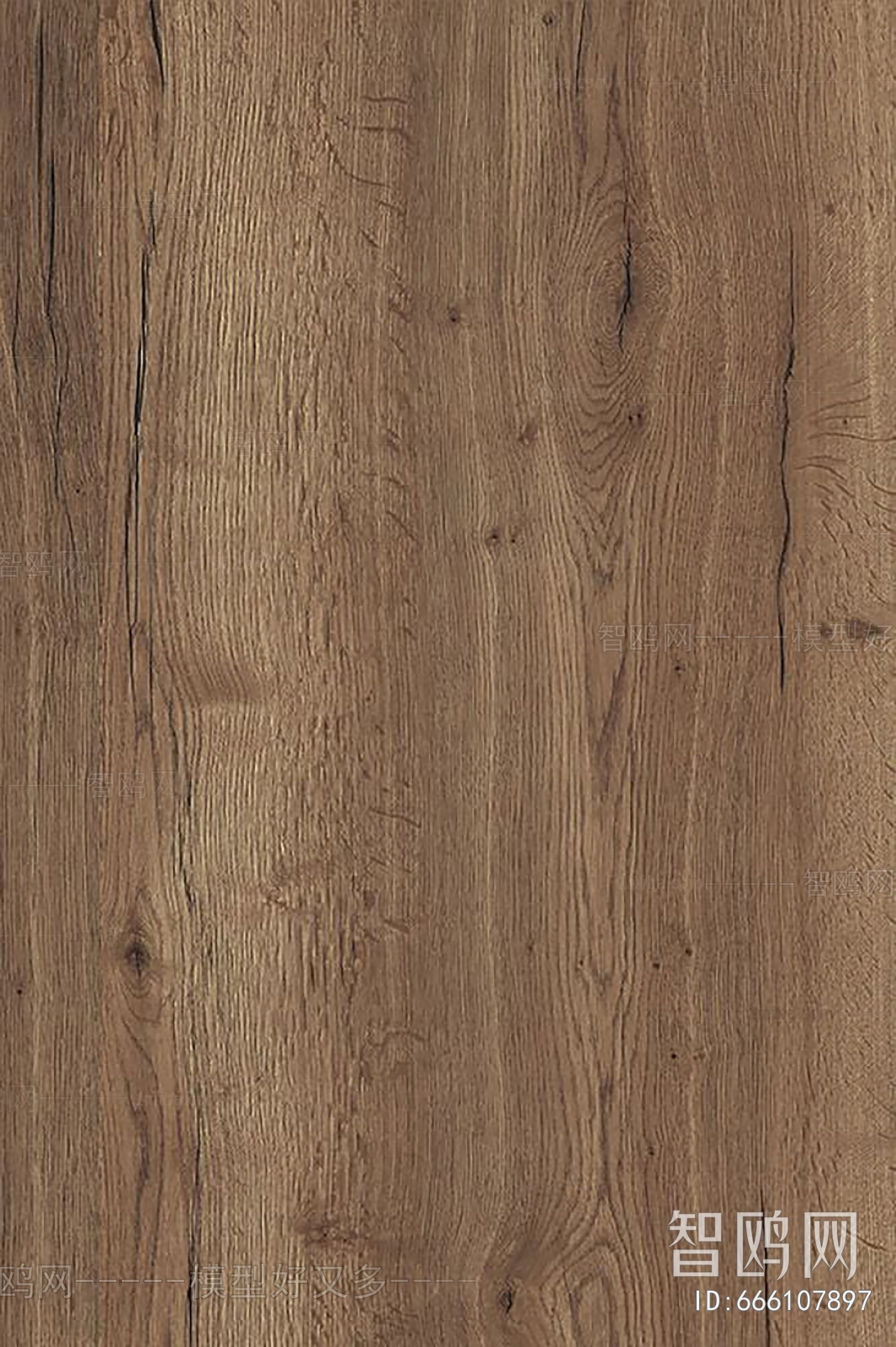 Wood Texture