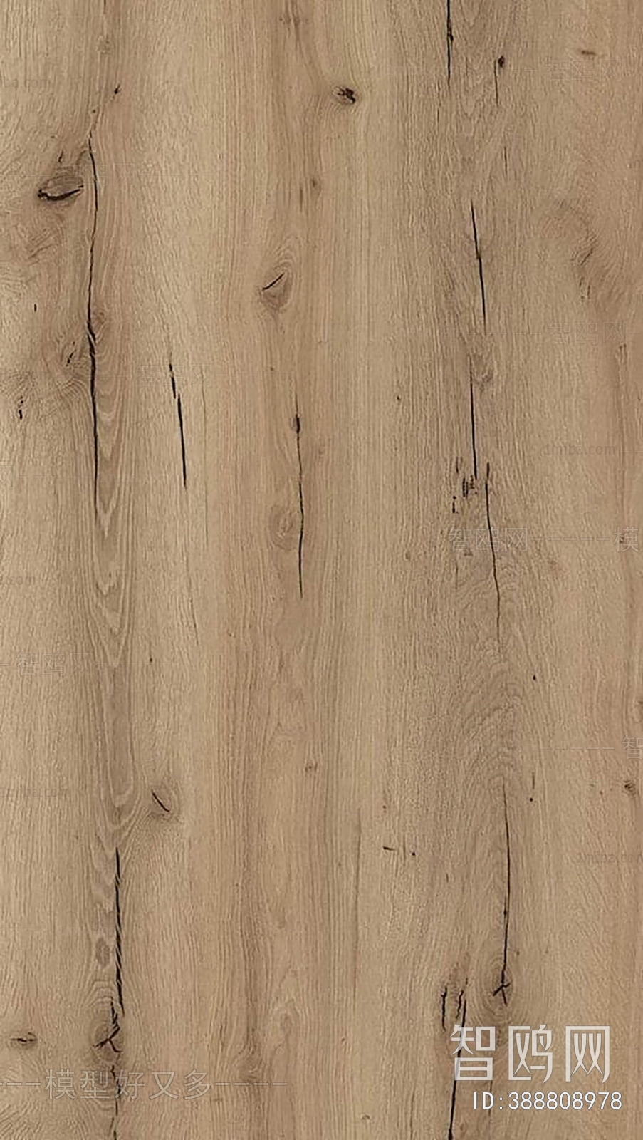 Wood Texture