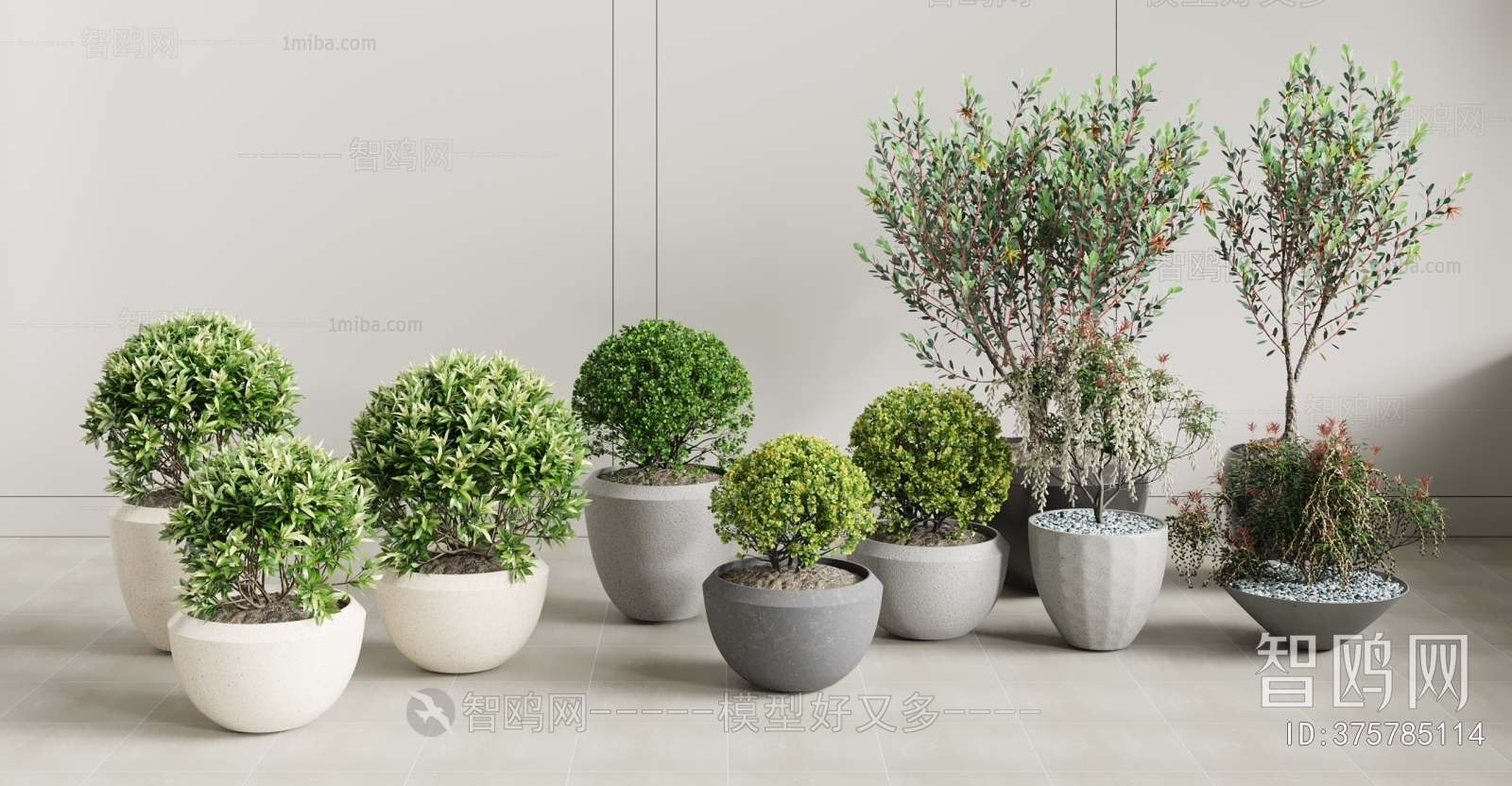 Modern Ground Green Plant Potted Plants