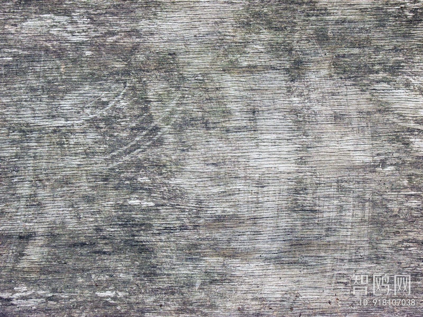 Bark Texture