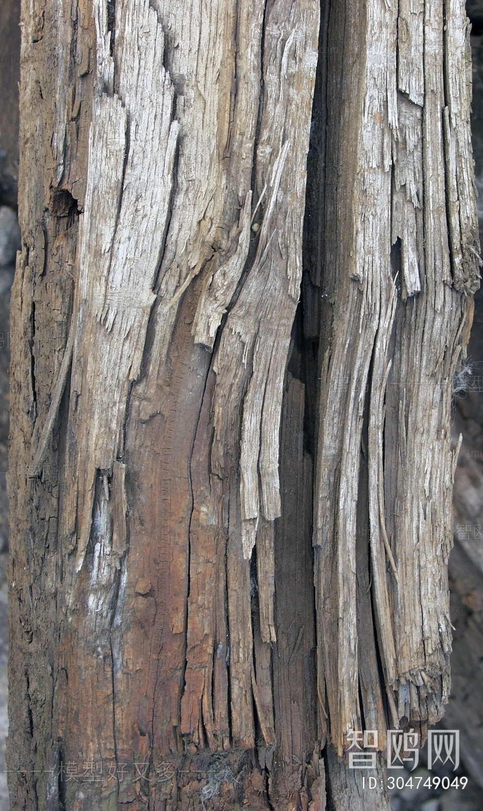 Old Wood Texture