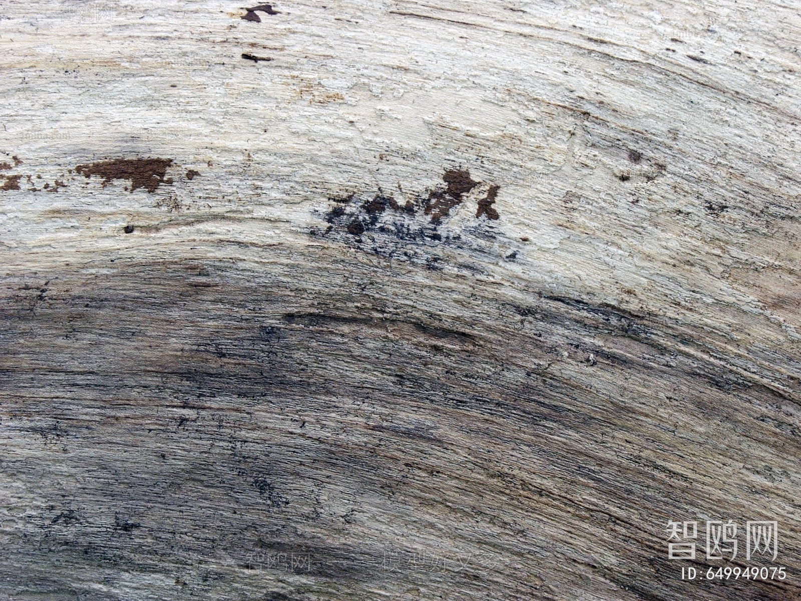 Bark Texture