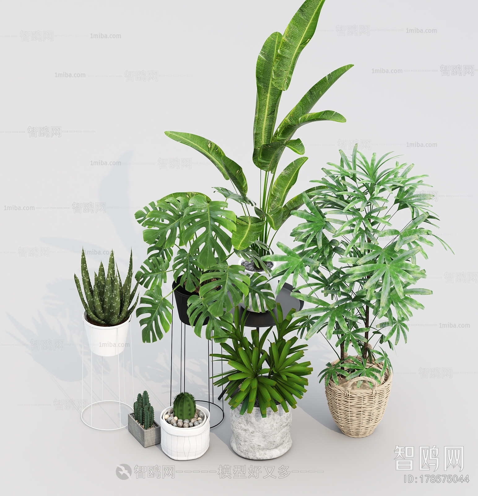 Modern Ground Green Plant Potted Plants