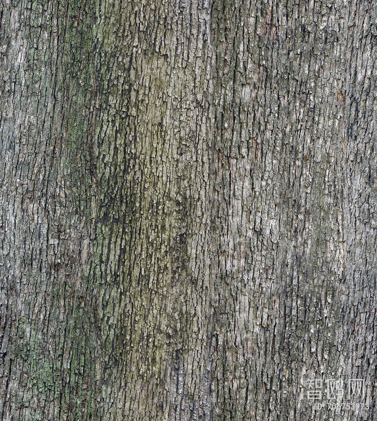 Bark Texture