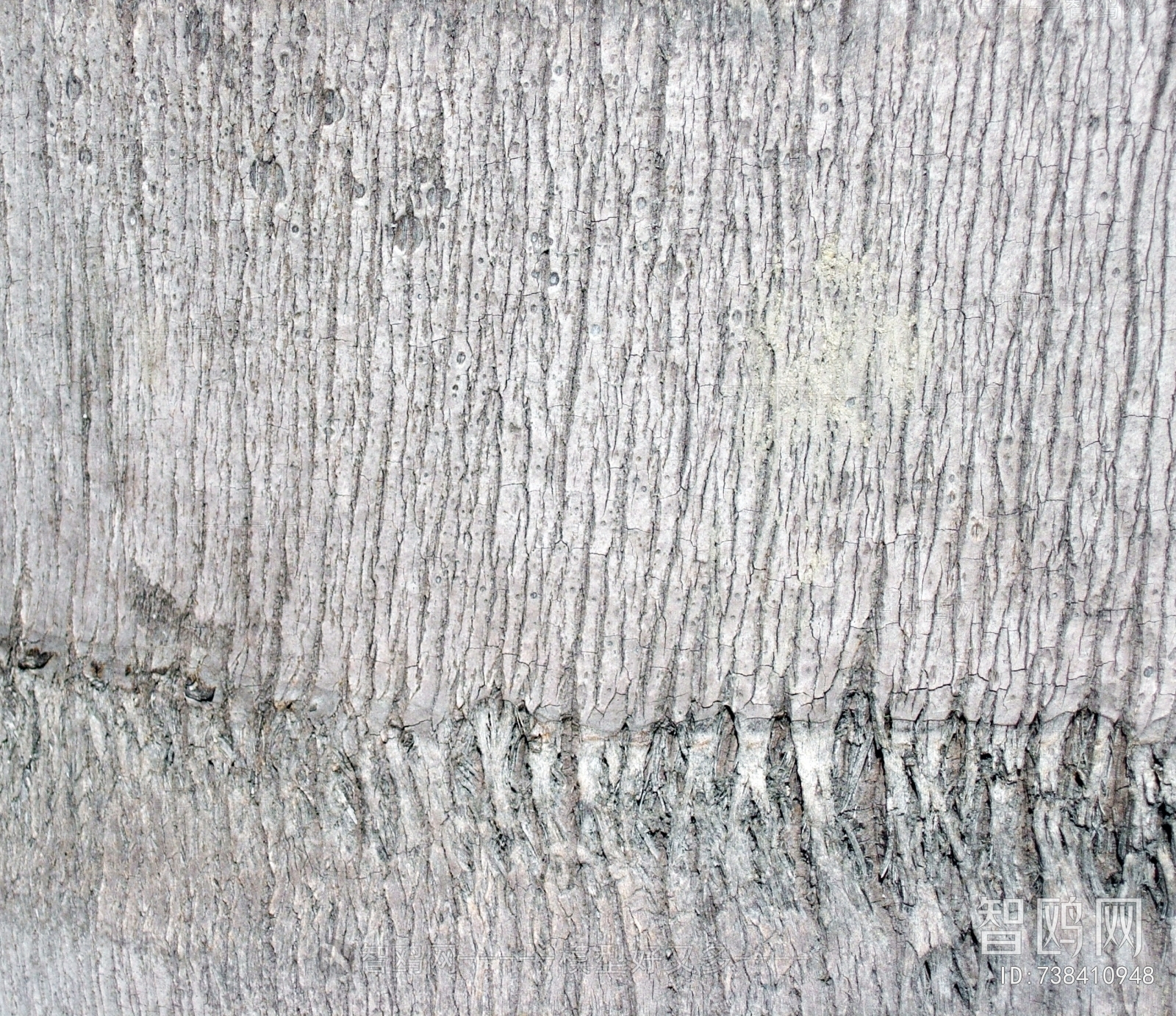 Bark Texture