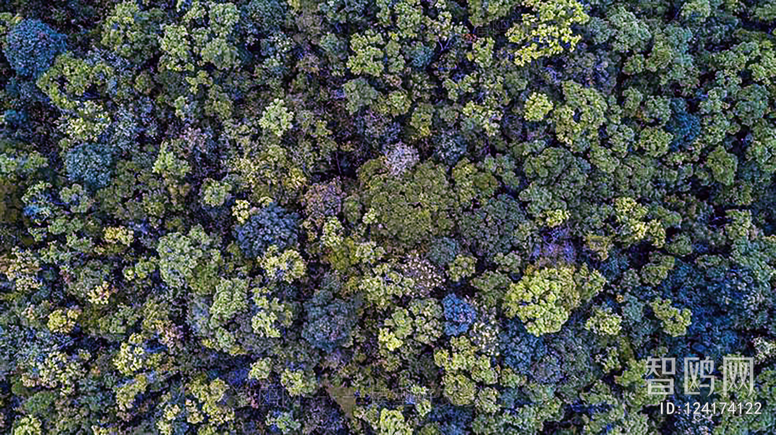 立体绿植实物