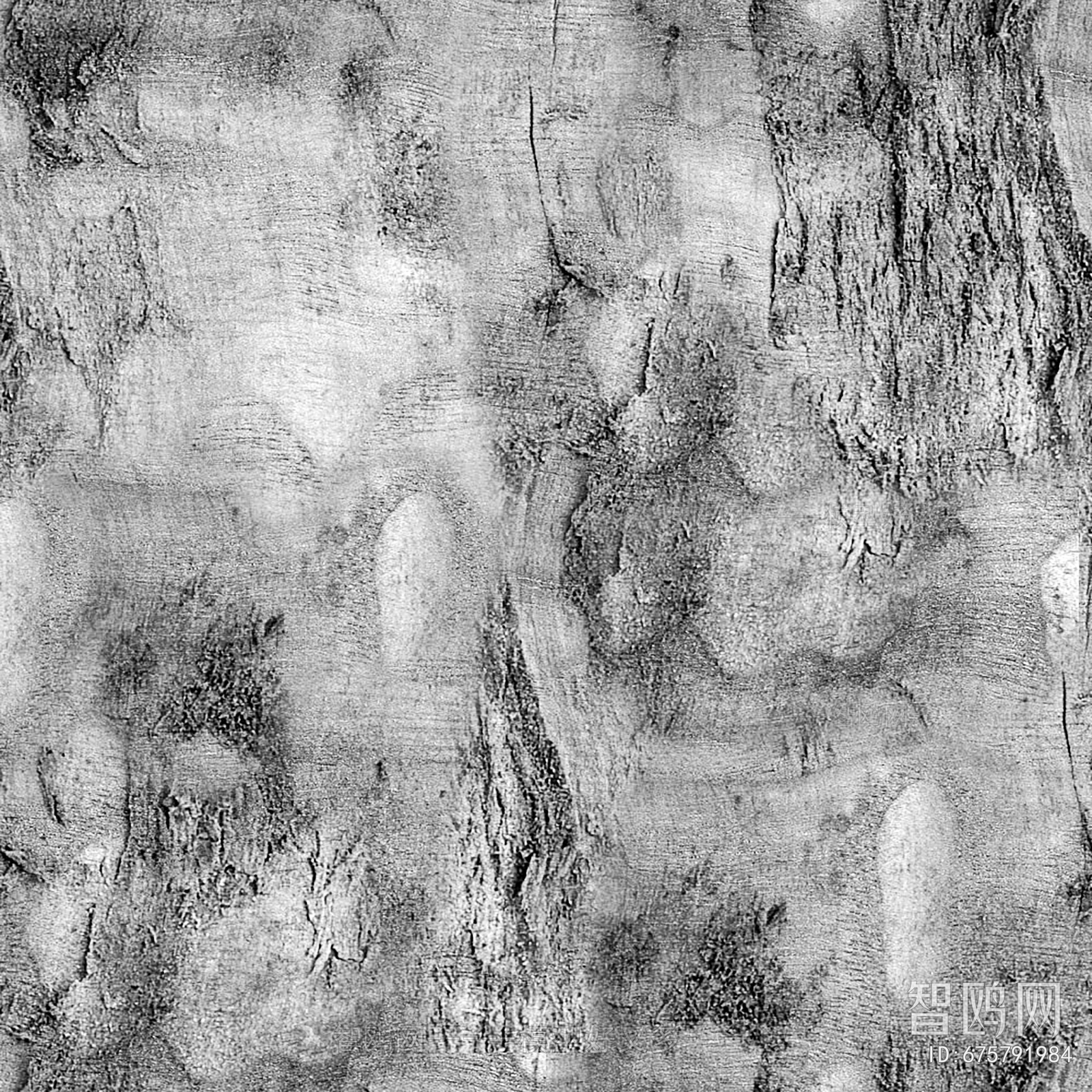 Bark Texture