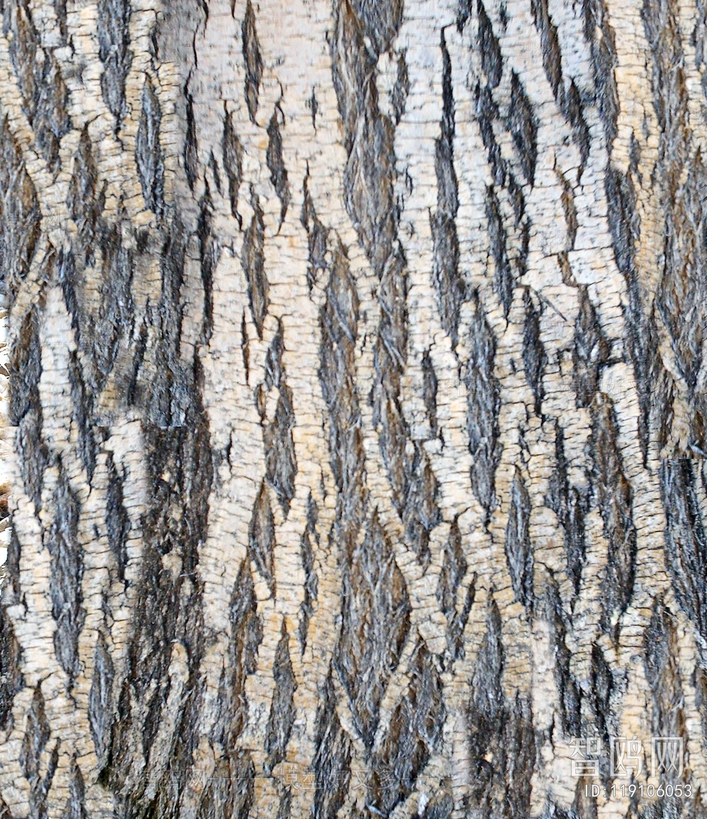 Bark Texture